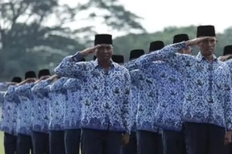 Jangan Salah Begini Perbedaan Hak Hak Antara Pns Dan Pppk Yang Tidak