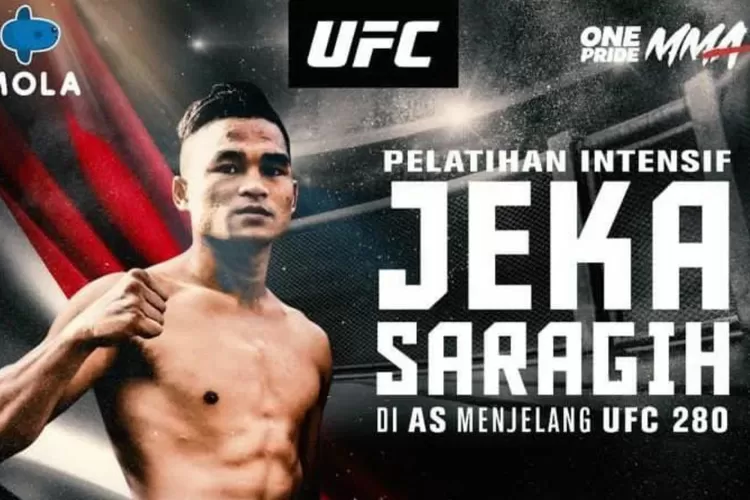 Final Road To UFC Jeka Saragih Dihadapkan Dengan Petarung Asal India