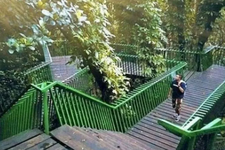 Forest Walk Babakan Siliwangi Oase Hijau Di Tengah Kota Bandung Yang