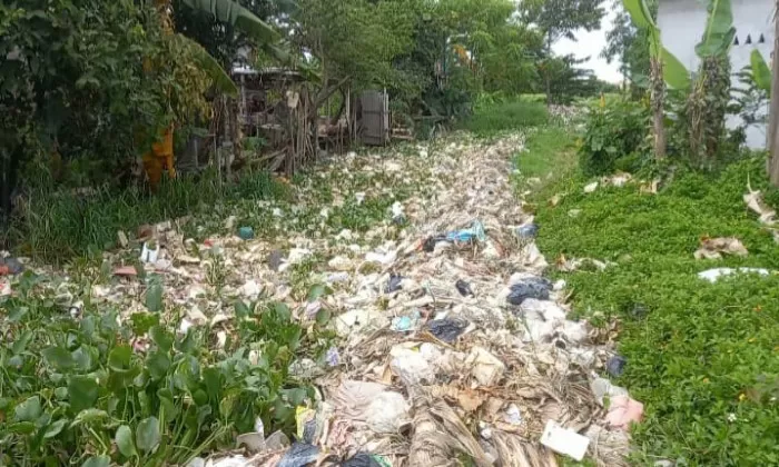 Lokasi sampah di Irigasi BUT 8 Dusun I Desa Kedung Pengawas sepanjang 600 meter meliputi 3 RT (Karta Sasmita/satuarah.co)