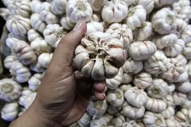 Bawang Putih untuk Melawan Kanker