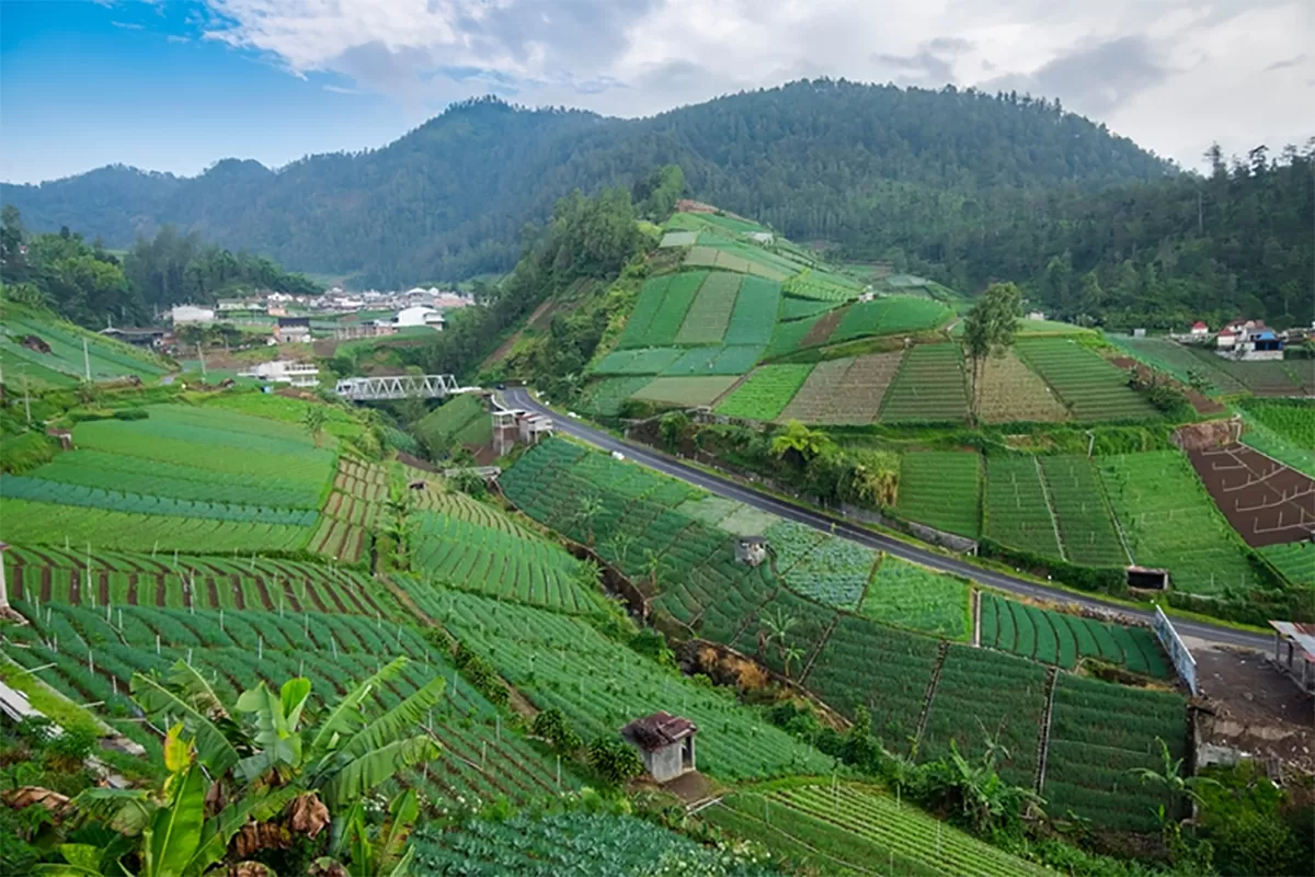 Tawangmangu, Destinasi Wisata Herbal dan Jamu Khas 