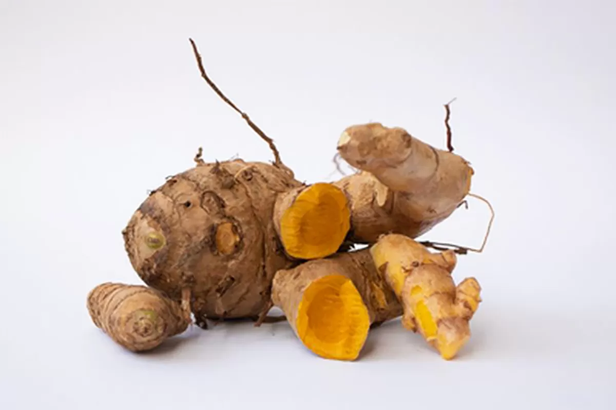 Tanaman Herbal Asli Indonesia dan Khasiatnya untuk Kesehatan