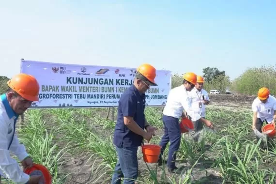 Kementerian BUMN Dorong Perum Perhutani dalam Produksi Gula Nasional