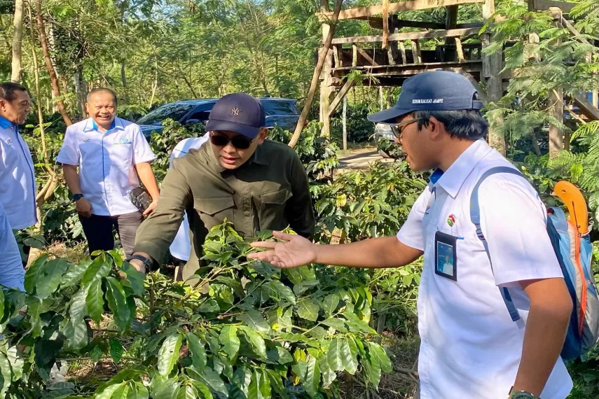 Sinergi PTPN V-PTPN XII Kembalikan Legenda 