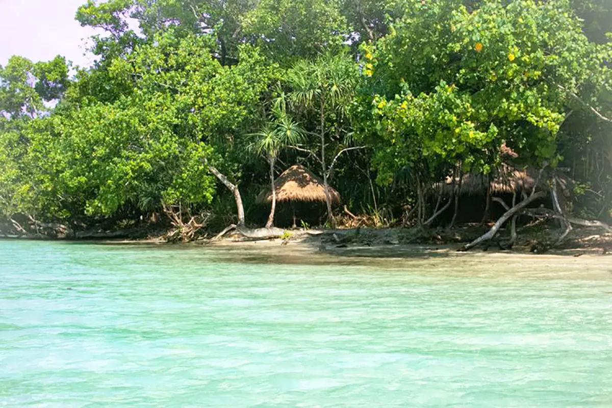 Destinasi Wisata di Ujung Kulon, Ketemu Hewan Langka!