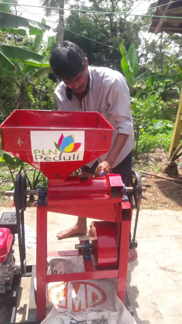 PLN Peduli Bangkitkan Geliat Petani Kopi Citaman Lawang Taji di Banten
