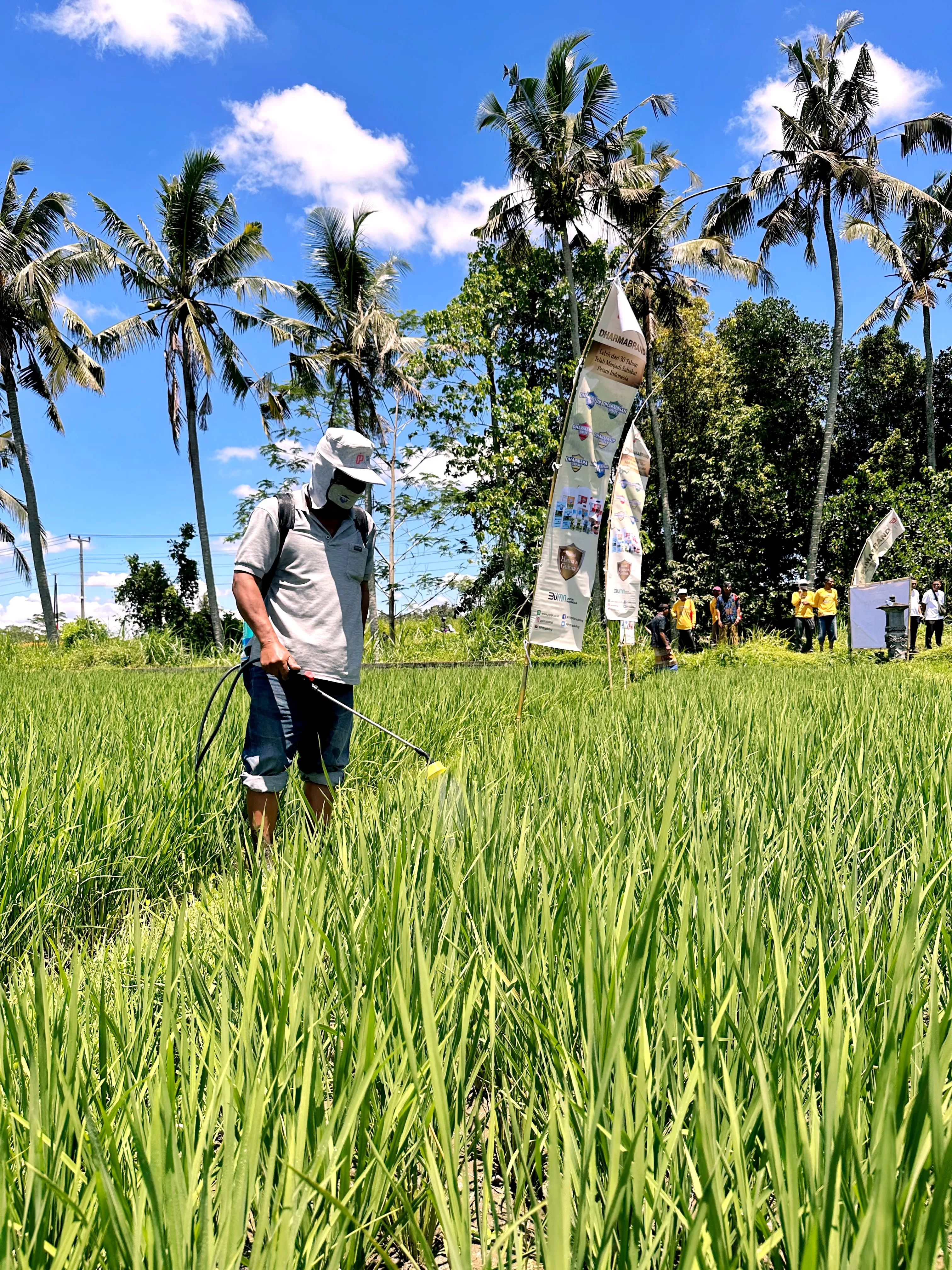 Edukasi Pengendalian Hama, PPI Gelar Demspray dan Penyuluhan ke Petani di Bali