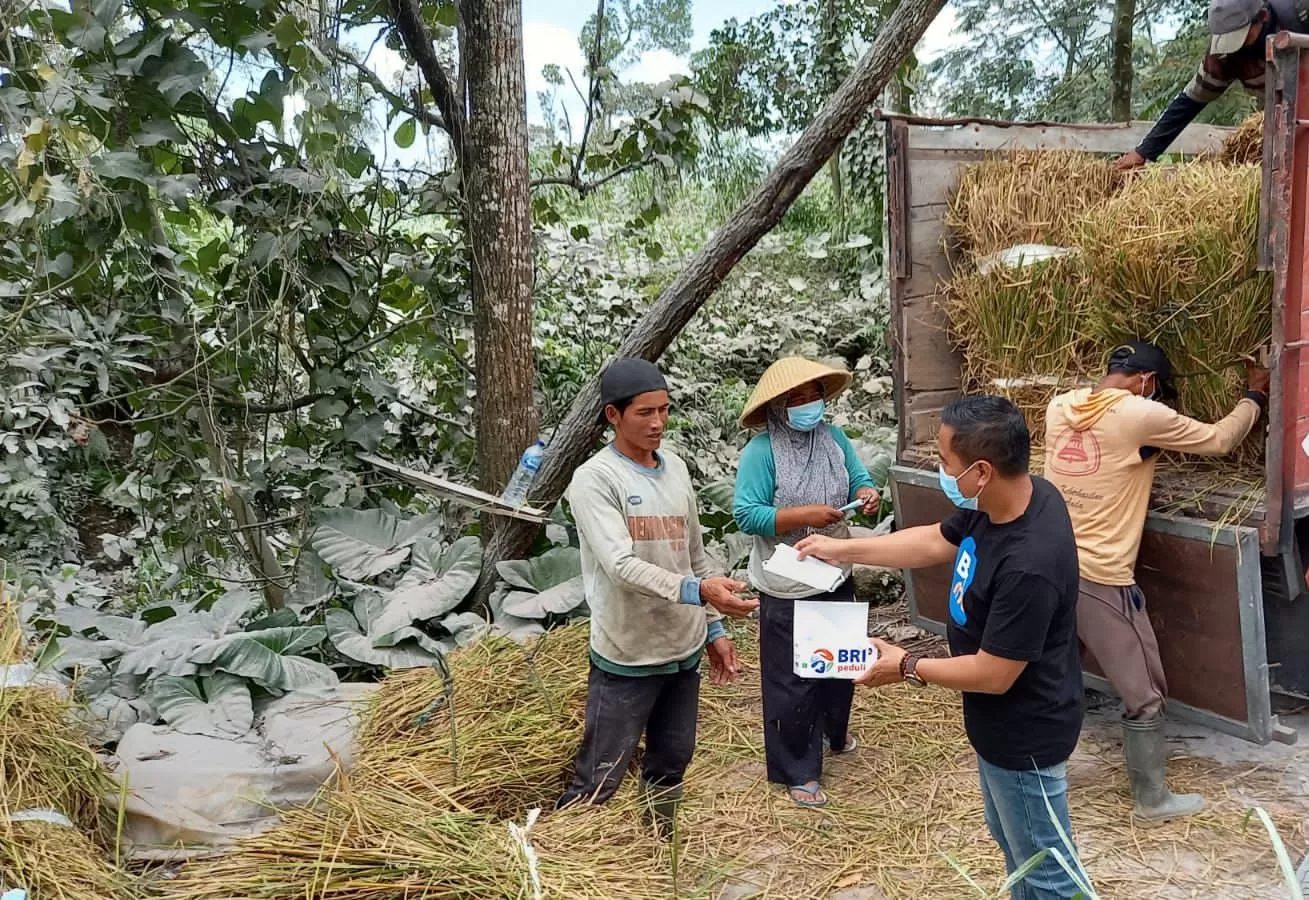 Bencana Erupsi Gunung Merapi, BRI Salurkan Bantuan Bagi Warga Terdampak