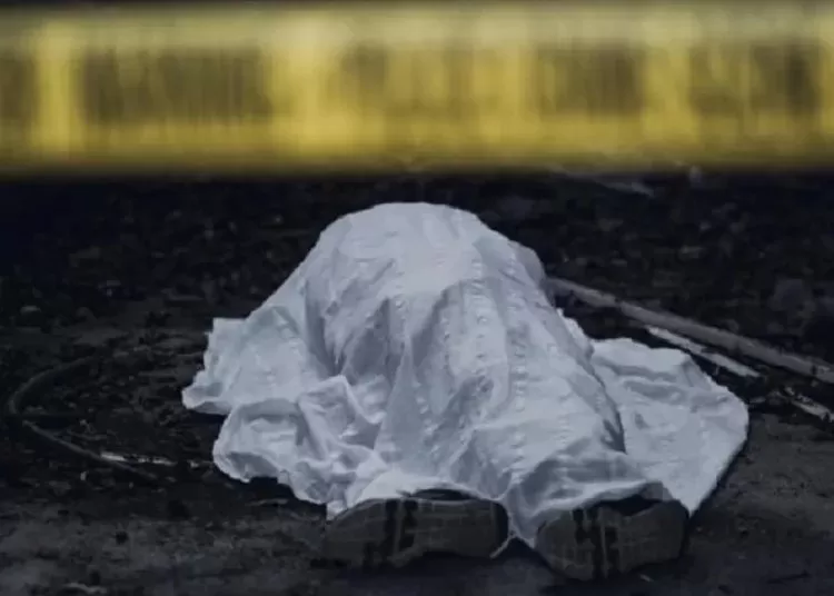 Ilustrasi jenazah Alvaro Kiano Nugroho yang hilang selama 8 bula dan saat ditemukan dalam keadaan tewas.  (Foto: Dok Mid Day)