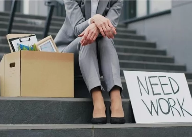 BPS merilis jumlah angka pengangguran di Indonesia per Agustus 2024. Foto: Ist