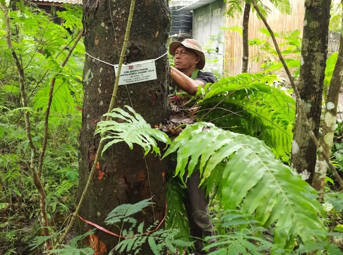 Adopsi Pohon melalui Komunitas Pagar Merapi yang disupport PT Astra Daihatsu Motor (ADM)  (foto: istimewa)