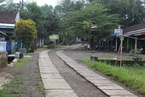 Jalan di Desa Karangrejo yang akan dilebarkan pemerintah.  (foto: jarot sarwosambodo)