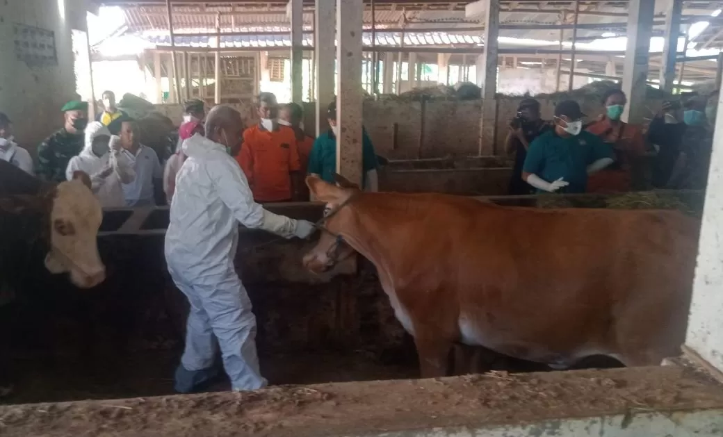 Ilustrasi. (Foto: dok)