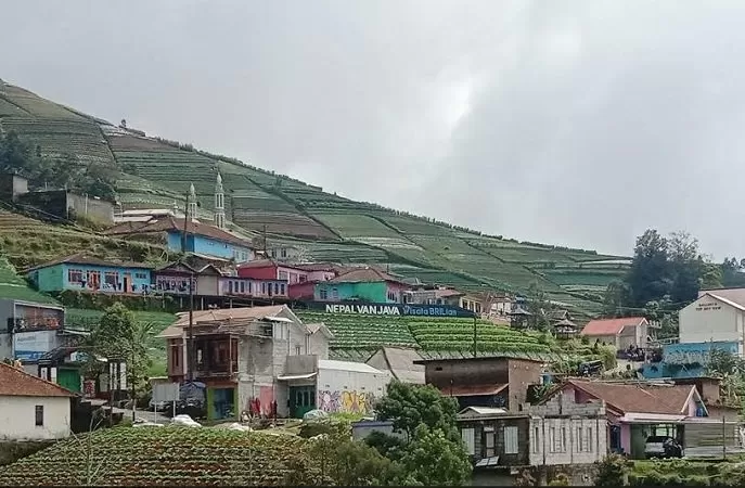Dusun Butuh 'Nepal Van Java' Desa Temanggung Kecamatan Kaliangkrik Kabupaten Magelang. (Thoha)