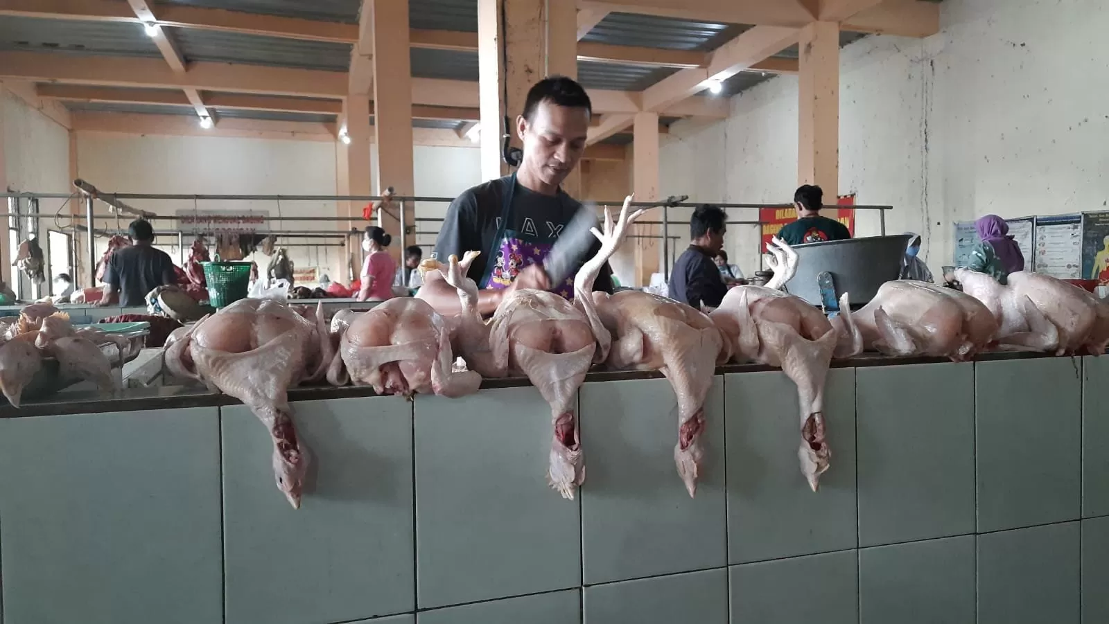 Pedagang ayam di pasar   (dok)
