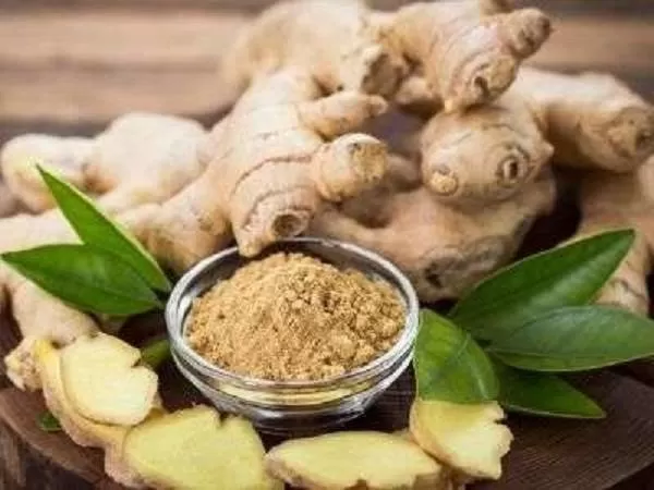 Jahe, khasiatnya tak bisa diremehkan.