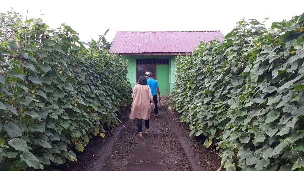 Salah satu rumah transmigran.