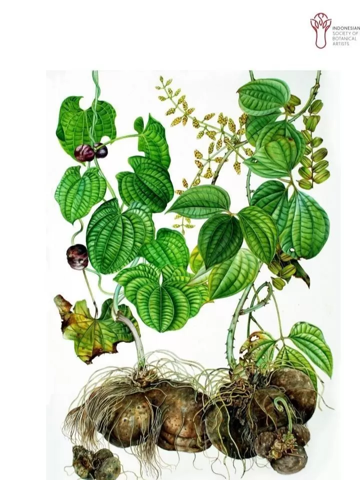 Salah satu karya yang akan di pamerkan. (Foto : Dok panitia).