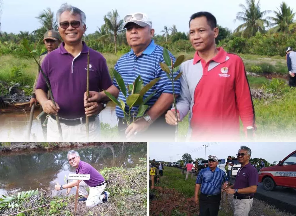 Pemerintah Kabupaten (Pemkab) Tanjung Jabung Barat (Tanjabbar) menggandeng PetroChina Internasional Jabung Ltd melakukan penanaman pohon mangrove sebagai upaya menghijaukan Tanjabbar menuju Indonesia Sejuk