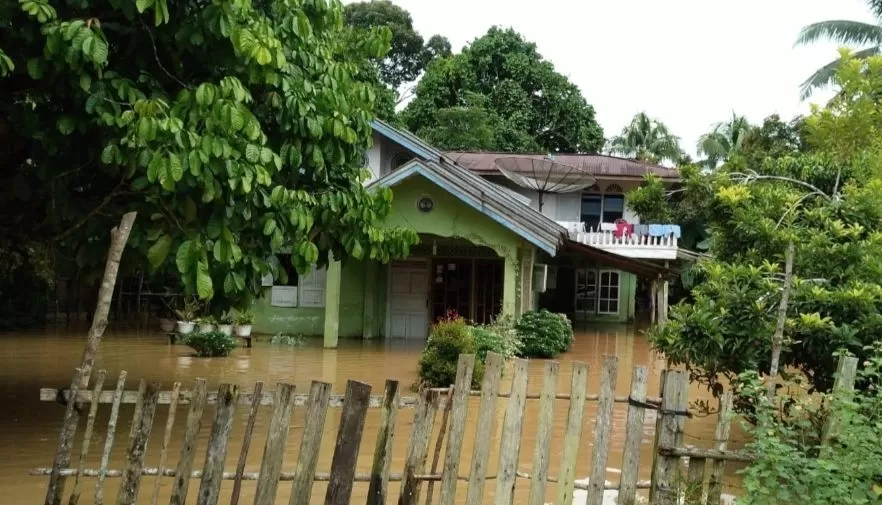 Salah Satu rumah warga Dusun Pulah Jelmu, Kecamatan Jujuhan Ilir, Kabupaten Bungo yang terendam banjir 