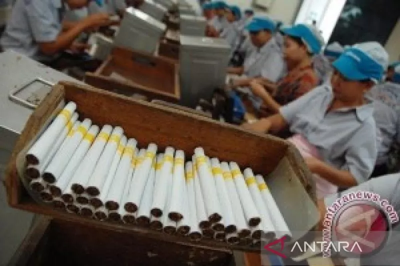 Ilustrasi: Sejumlah Pekerja menyelesaikan proses pembuatan rokok di Pabrik Rokok Kudus