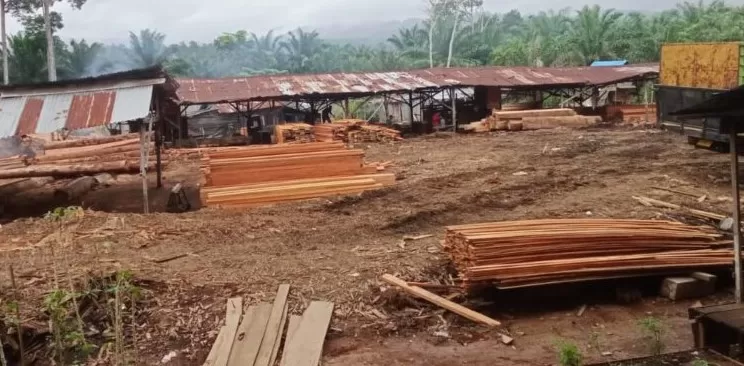 Foto: Lokasi pengolahan katu di ranto Baik Madina diduga tak sesuai aturan