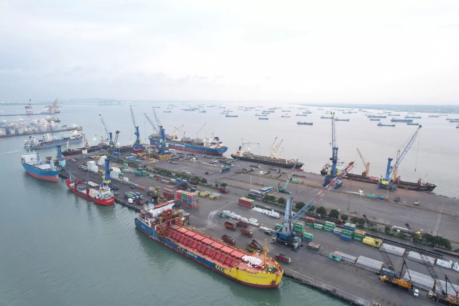 Pelindo Multi Terminal Catatkan Kinerja Positif Pada Triwulan Pertama ...