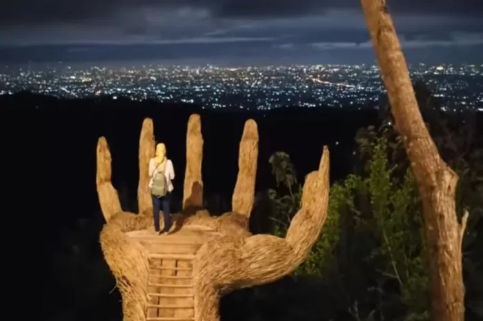 Spot tangan raksasa hutan Pinus Pengger (You Tube @Jalam Amrita)