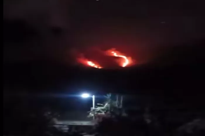 Kebakaran yang terpantau merambah di hutan gunung Ungaran kamis malam 12 Oktober 2023 (Tangkapan layar akun TikTok @h_matthew)