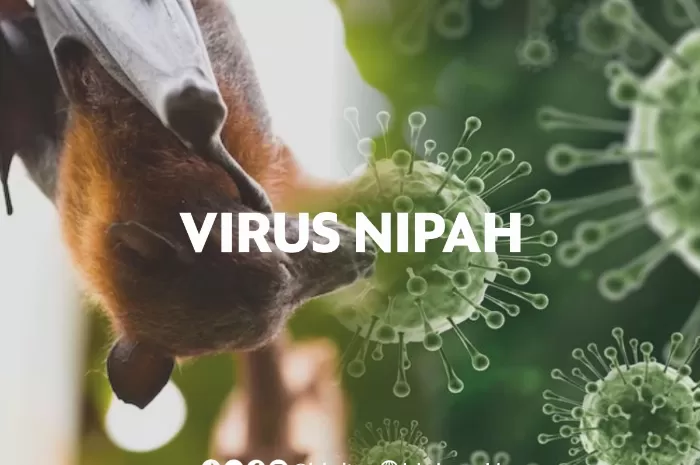 virus nipah (https://labcito.co.id)