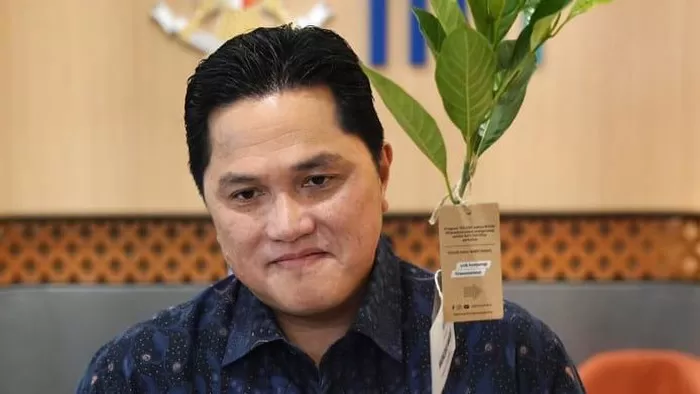Erick Thohir. Foto: Detik.com