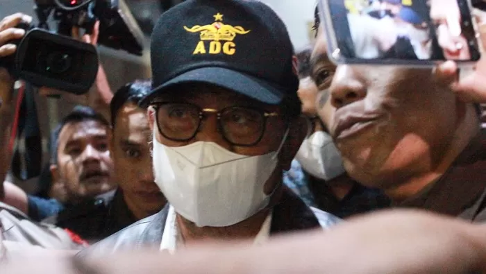 Syahrul Yasin Limpo. Foto: Detik.com