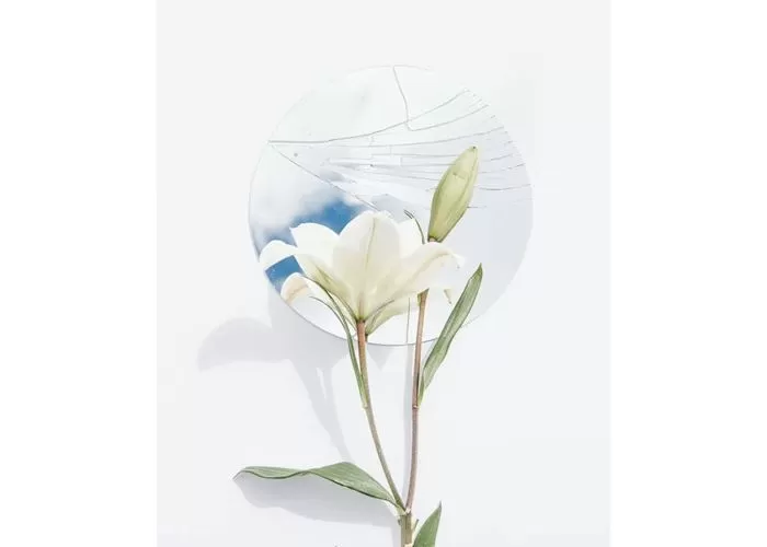 ilustrasi puisi ana bunga karya Sutardji Calzoum Bachri (GENMUSLIM.id/pexels/ Evie Shaffer)