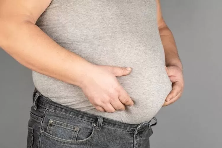 Obesitas dapat di antisipasi dengan mengatur kenaikan berat badan agar tetap ideal. (GENMUSLIM.id/dok: Freepik)