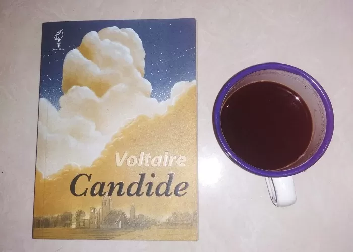 Ulasan Novel Candide karya Voltaire Si murid yang fanatik buta ((Foto: GENMUSLIM.id/dok: Gani Islahudin))