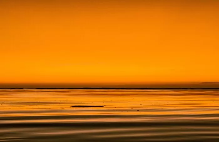 Puisi romantis senja cinta abadi  (Genmuslim.id/dok: pexels-photographymaniac)