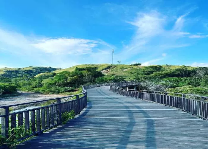 Keindahan pemandangan di Pulau Rinca salah satu wisata favorit di Flores, NTT (Foto : GENMUSLIM.id/dok : Instagram@macdes)
