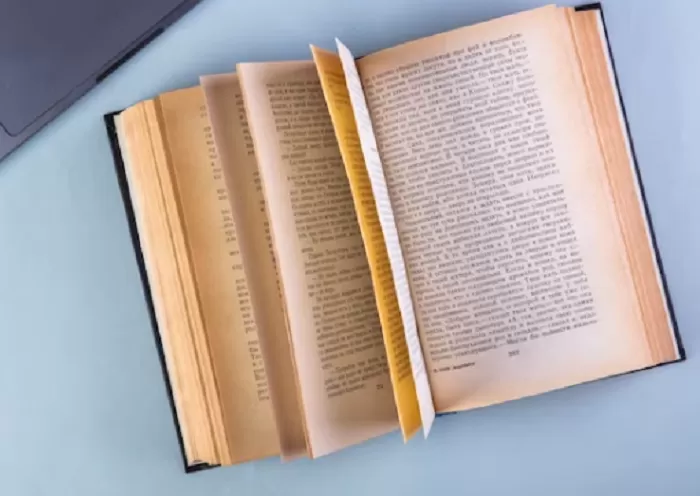 Tips agar pintar bahasa inggris secara otodidak (freepik.com)