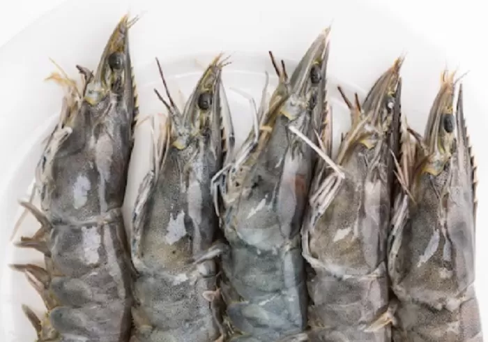 Tips membersihkan udang (freepik.com)