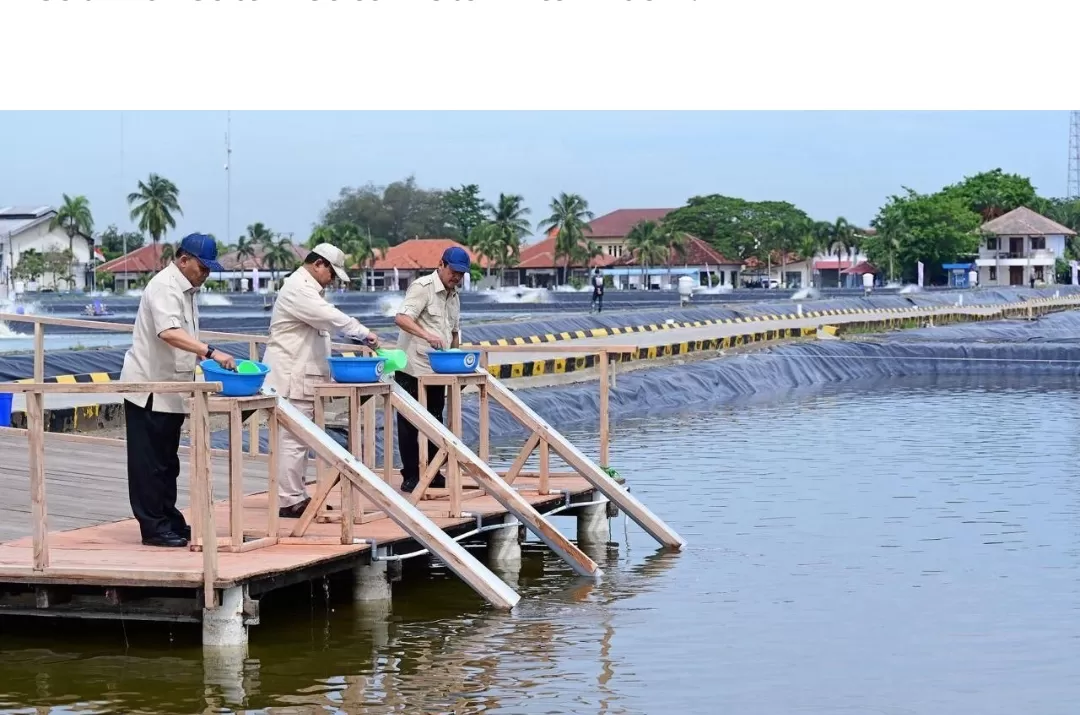 Presiden Prabowo Subianto mengunjungi Kawasan Balai Layanan Usaha Produksi Perikanan Budidaya (BLUPPB), Kabupaten Karawang, Provinsi Jawa Barat, pada Senin, 2 Desember 2024. Foto: BPMI Setpres/Muchlis