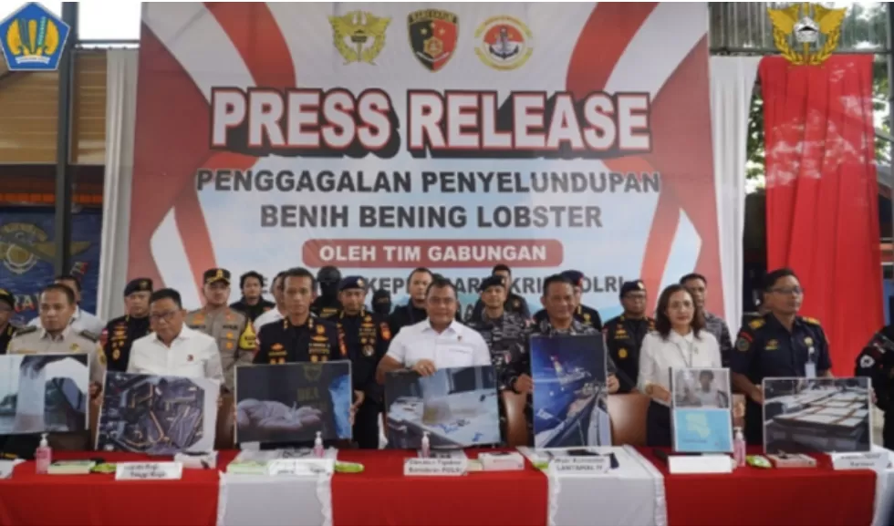 Dittipidter Bareskrim Polri menggagalkan upaya penyelundupan 151.000 benih bening lobster di perairan Pulau Numbing, Bintan. (Foto: PMJ News)