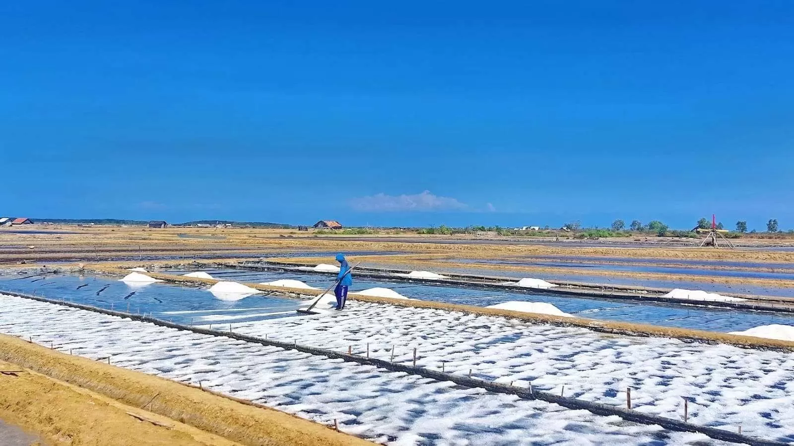 Ilustrasi produk garam petani di Jawa Timur