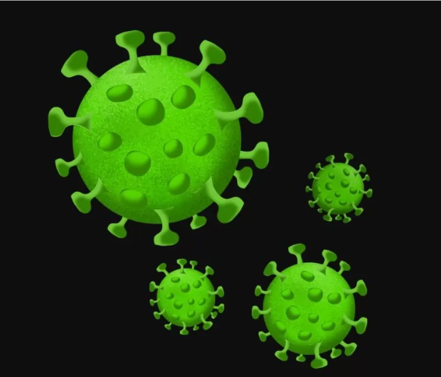 Ilustrasi. Virus Human Metapneumovirus yang menyebabkan infeksi saluran pernapasan. (Foto: tribratanews.polri.gi.id)