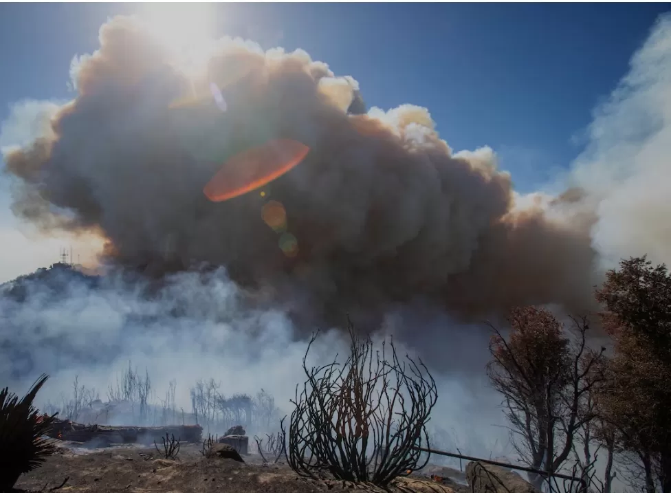 Asap tebal membubung akibat kebakaran yang masih berlangsung di Los Angeles. (Foto: reuters.com)