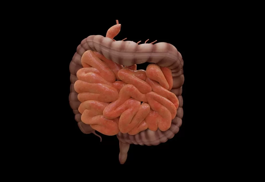 Ilustrasi. Sarapan bergizi merupakan salah satu kebiasaan pagi yang mendukung kesehatan pencernaan. (Foto: Pixabay)  