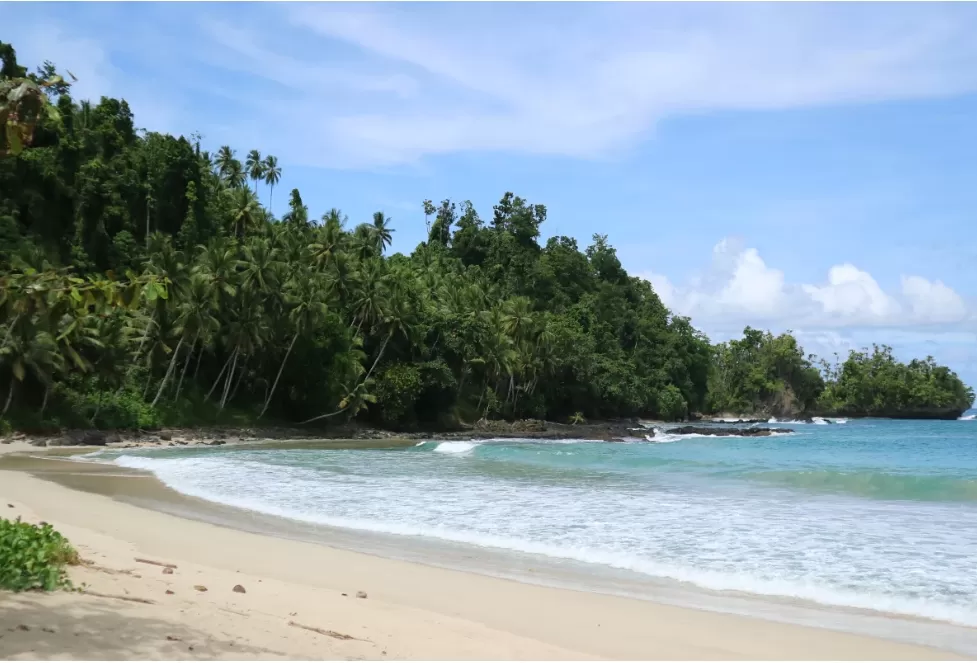 Keindahan biru toska laut Tanjung Gorango. (Foto: indonesia.travel)