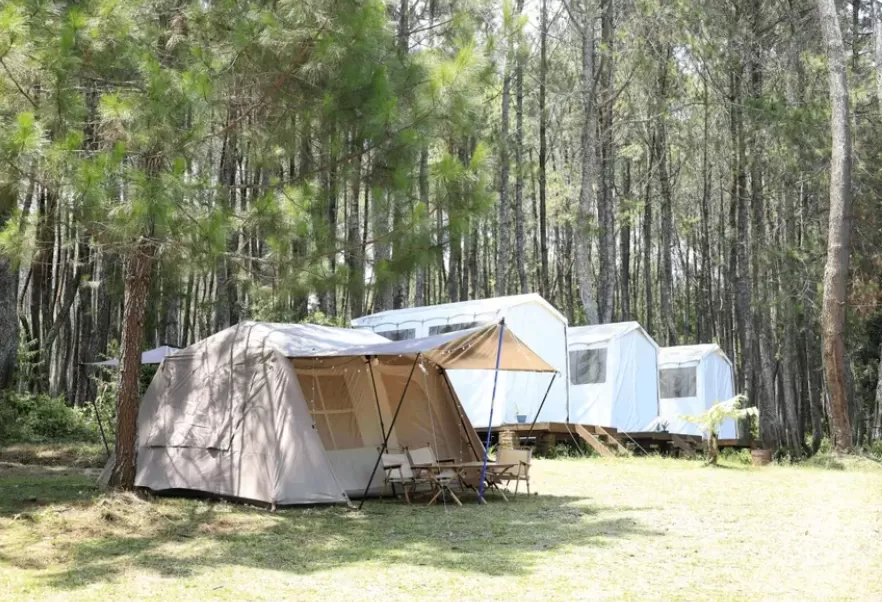 Suasana tenang Green Grass Camping Ground, tempat ideal untuk berkemah bersama keluarga dan hewan peliharaan. (Foto: traveloka.com)
