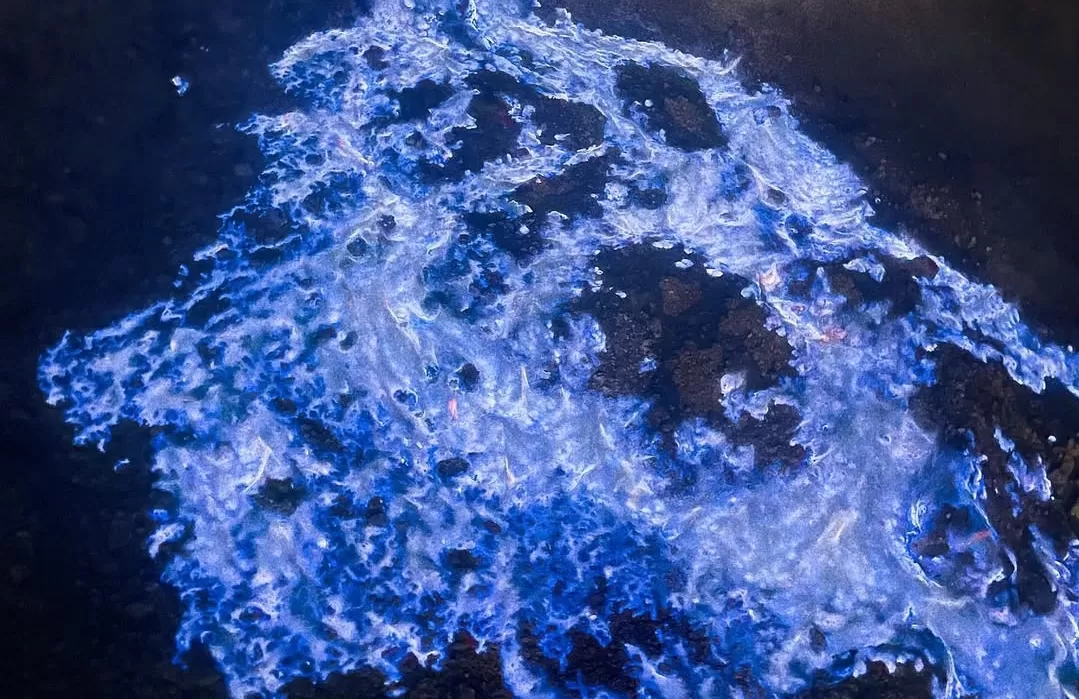 Ilustrasi 4 destinasi wisata unggulan di Banyuwangi yang wajib dikunjungi saat libur Lebaran 2025, diantaranya Kawah Ijen dengan Api Birunya (Foto: Instagram @carmellina_shien)