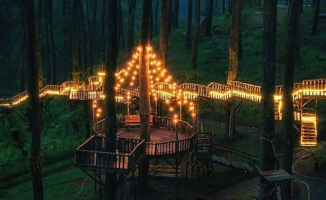 Spot foto romantis di tengah hutan pinus Orchid Forest Cikole, cocok untuk pasangan berlibur. (Foto: Instagram @jktfooddestination)